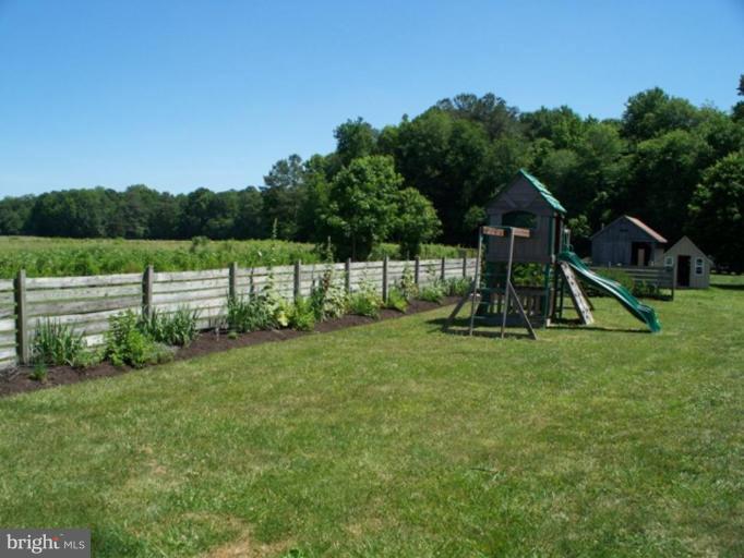 25245 Auction Road Federalsburg, MD 21632 - Photo 2 of 16 Back yard
