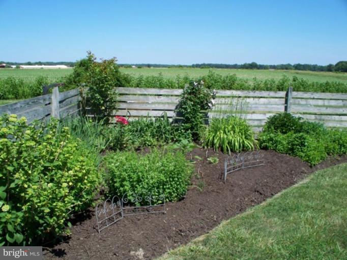 25245 Auction Road Federalsburg, MD 21632 - Photo 11 of 16 Garden