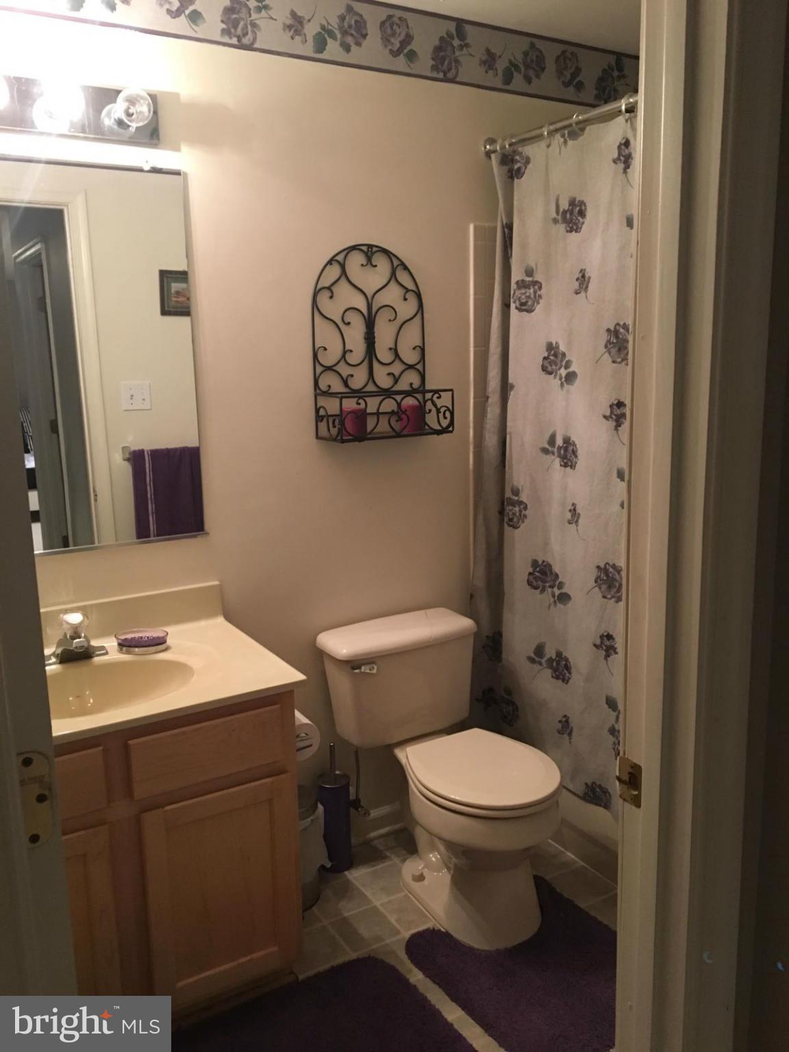 4619 Runnymeade Road Owings Mills, MD 21117 - Photo 12 of 12 Bath