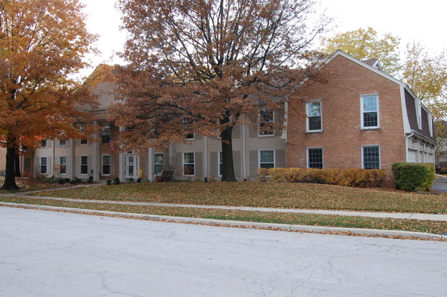1072 Spring Garden Circle, Unit 4 Naperville, IL 60563 - Photo 13 of 18 a front view of residential houses with yard and trees
