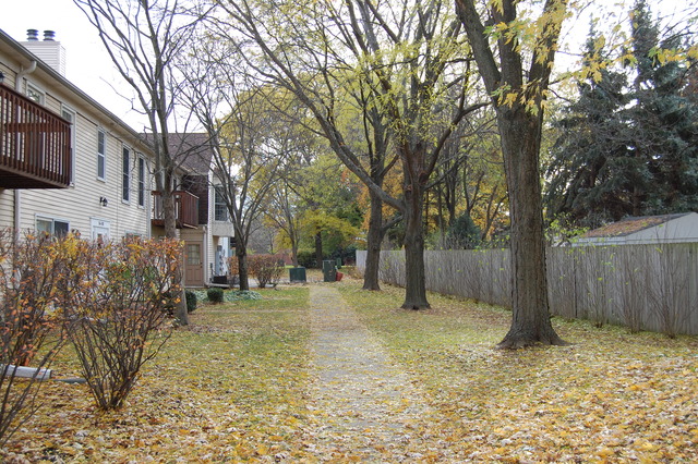 1072 Spring Garden Circle, Unit 4 Naperville, IL 60563 - Photo 15 of 18 a view of a yard with a tree