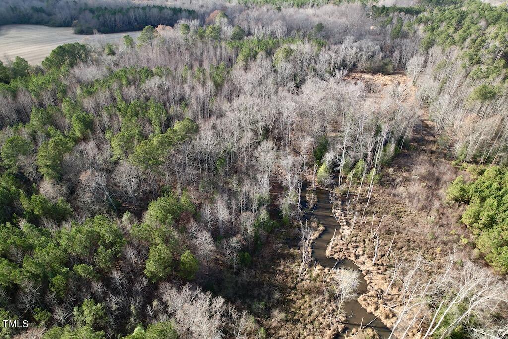 1 Peachtree Hills Road Spring Hope, NC 27882 - Photo 19 of 40 a view of a forest with a tree