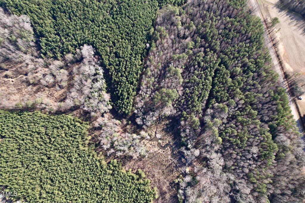 1 Peachtree Hills Road Spring Hope, NC 27882 - Photo 21 of 40 a view of a garden
