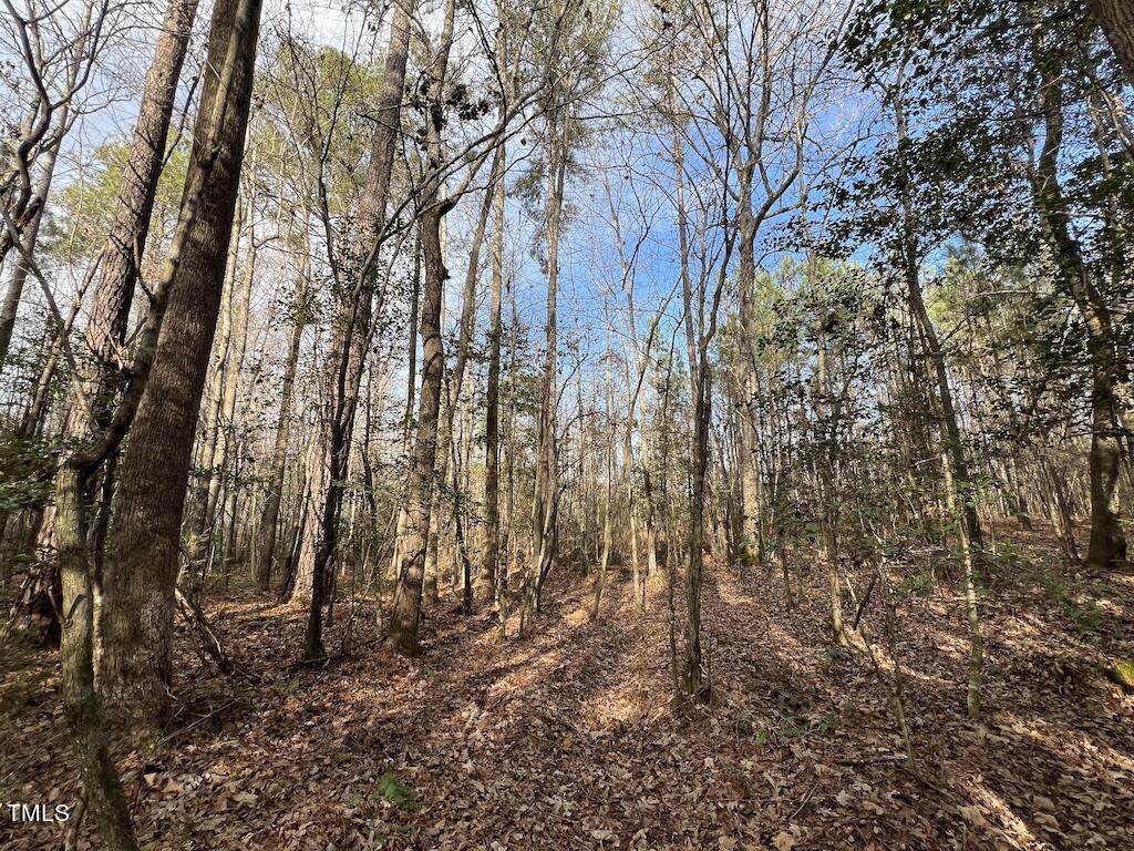 1 Peachtree Hills Road Spring Hope, NC 27882 - Photo 30 of 40 a backyard of a house with lots of green space