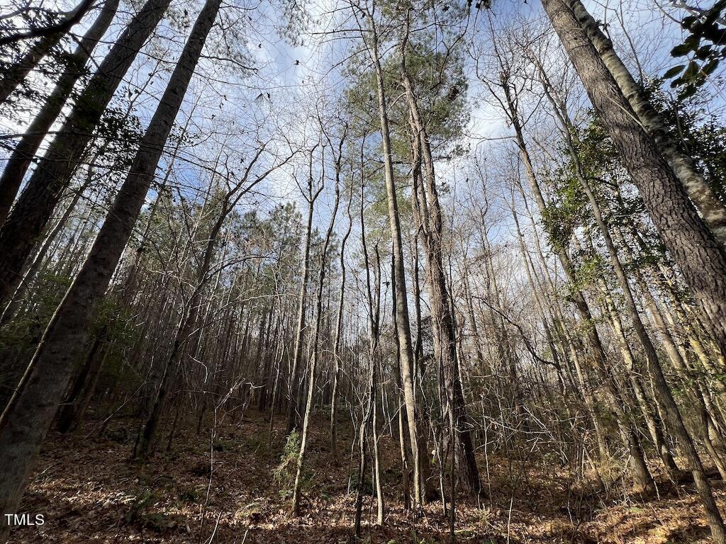 1 Peachtree Hills Road Spring Hope, NC 27882 - Photo 32 of 40 a view of outdoor space