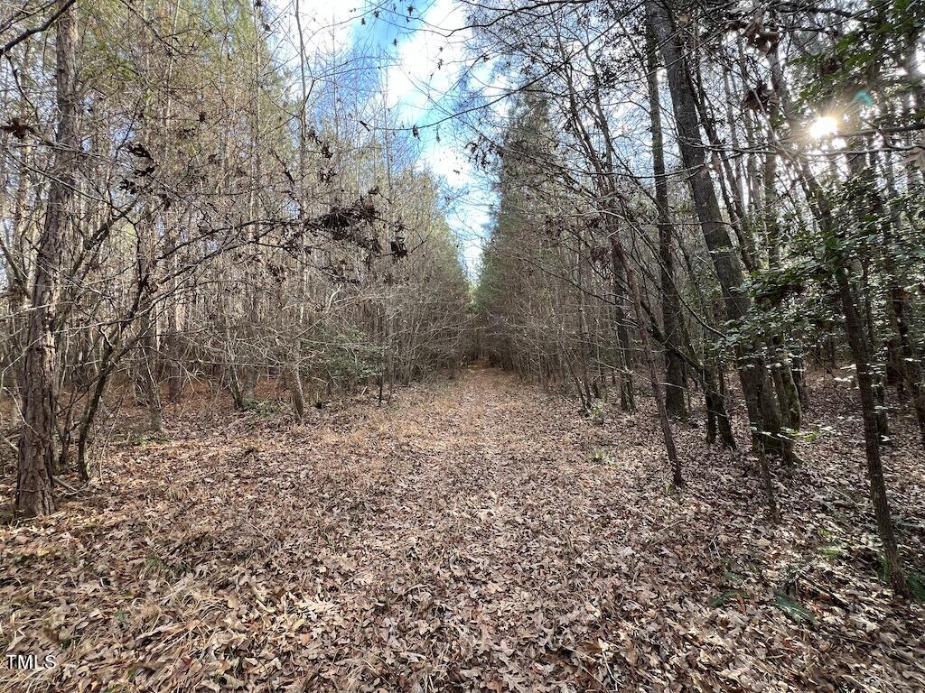1 Peachtree Hills Road Spring Hope, NC 27882 - Photo 33 of 40 a view of a yard with a tree