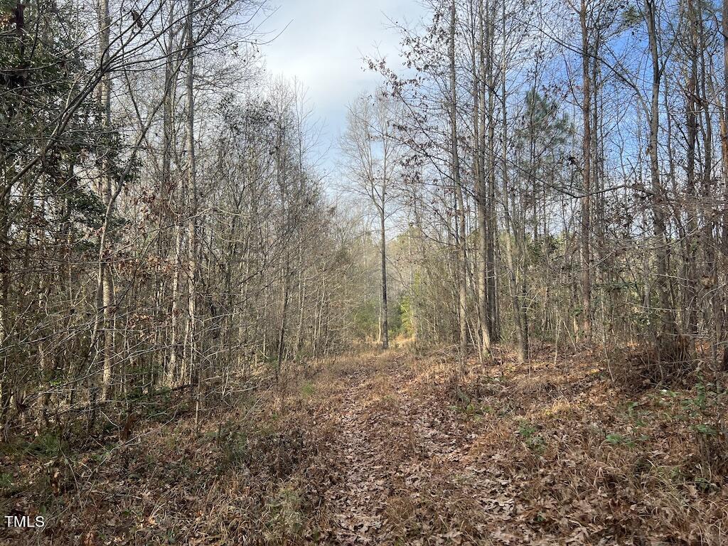 1 Peachtree Hills Road Spring Hope, NC 27882 - Photo 35 of 40 a view of empty room with trees