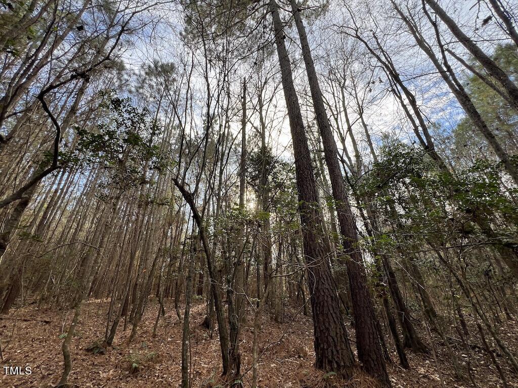 1 Peachtree Hills Road Spring Hope, NC 27882 - Photo 36 of 40 a view of forest
