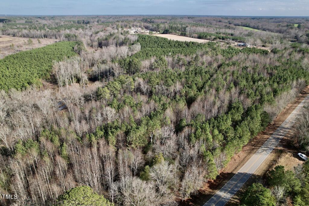 1 Peachtree Hills Road Spring Hope, NC 27882 - Photo 6 of 40 a view of a forest with a street