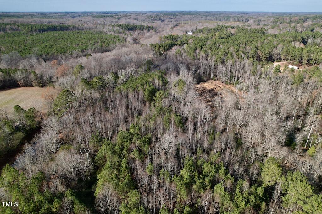 1 Peachtree Hills Road Spring Hope, NC 27882 - Photo 9 of 40 a view of a lush green forest with lots of trees