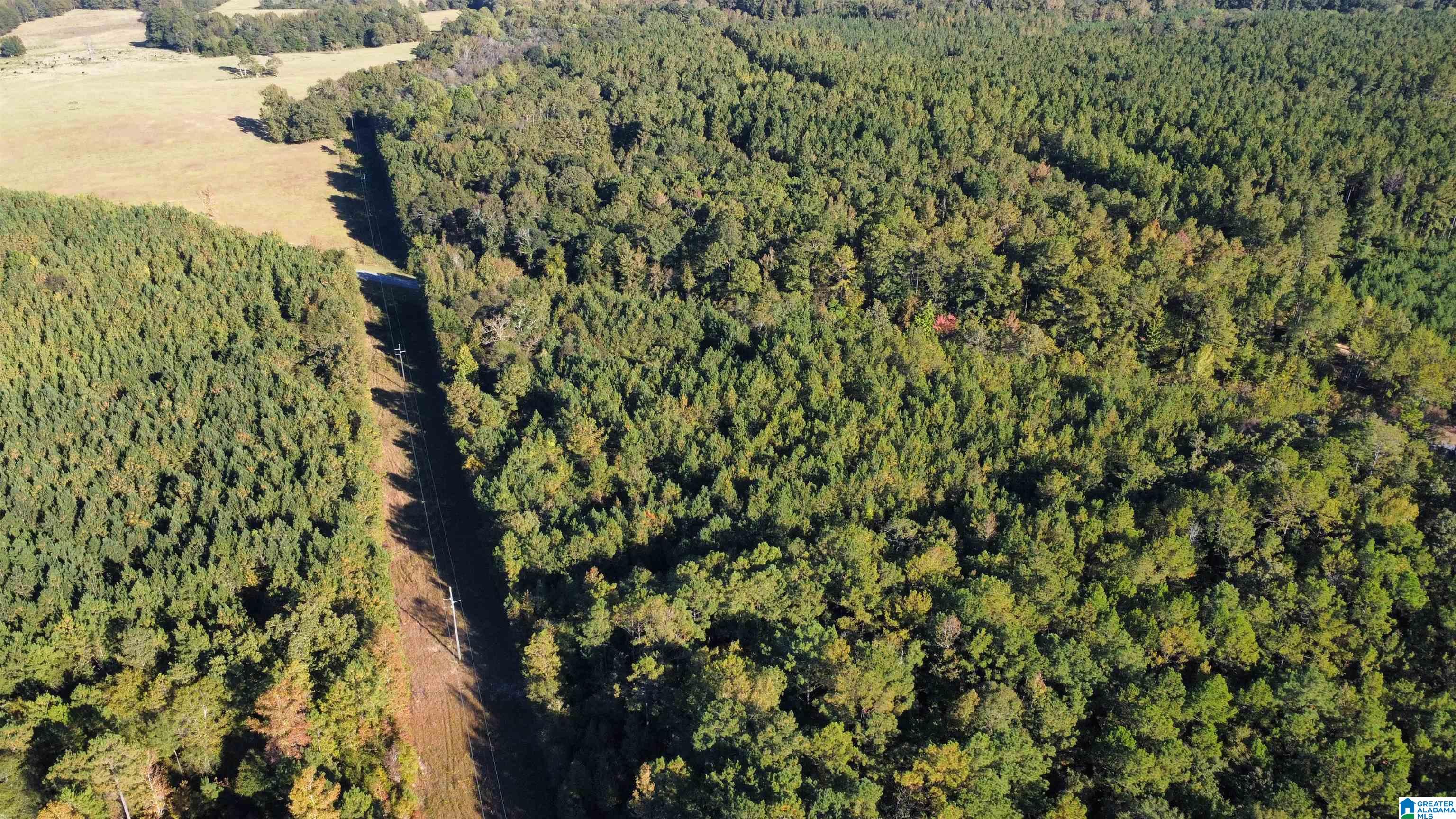2 Highway 37, Unit 2 Notasulga, AL 36866 - Photo 4 of 7