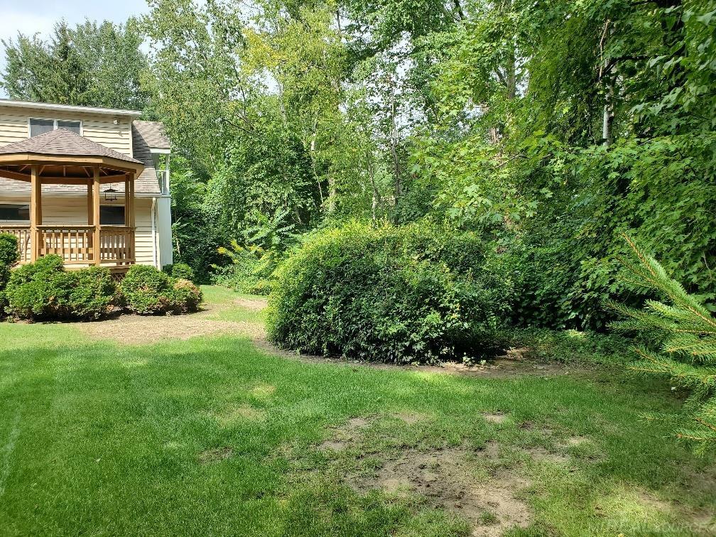 48164 Sugarbush Road Chesterfield, MI 48047 - Photo 6 of 59