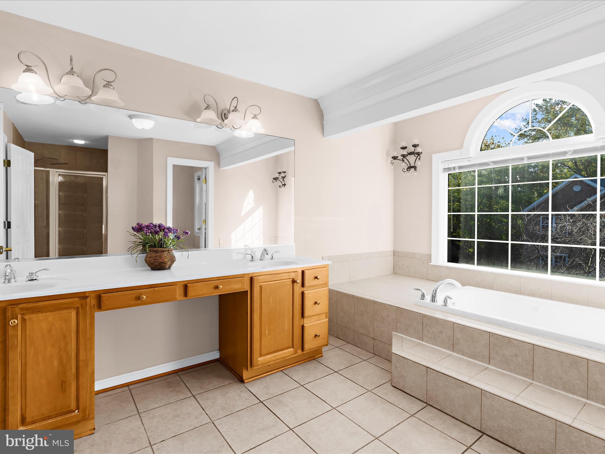 15533 Thompson Road Silver Spring, MD 20905 - Photo 43 of 76 a large spacious bathroom with a tub a double vanity sink and a large mirror