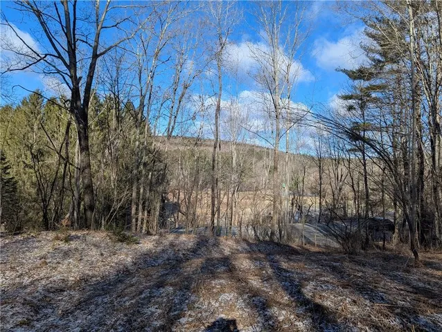 $30,000 | 702 East Street, Oneonta, NY 13820