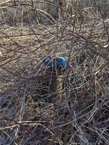 $30,000 | 702 East Street, Oneonta, NY 13820