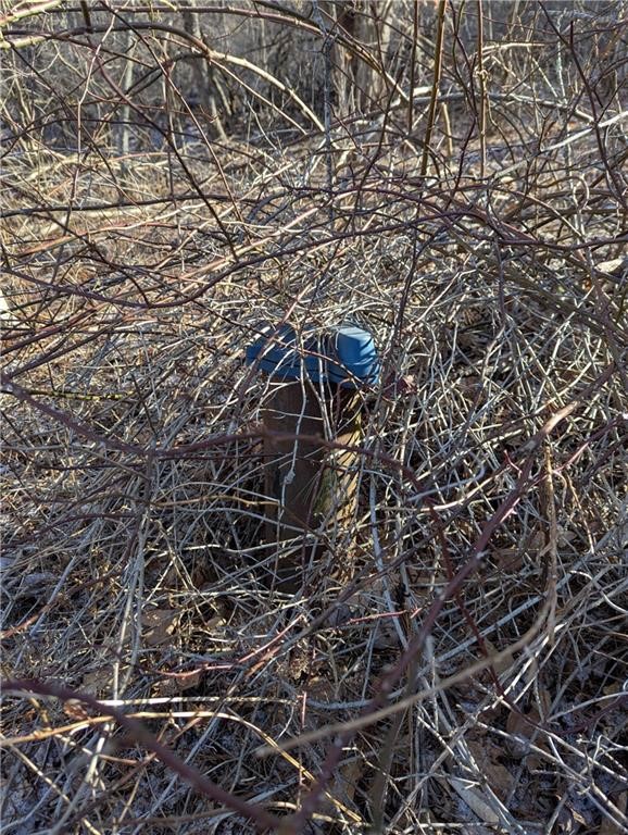 702 East Street Oneonta, NY 13820 - Photo 4 of 4