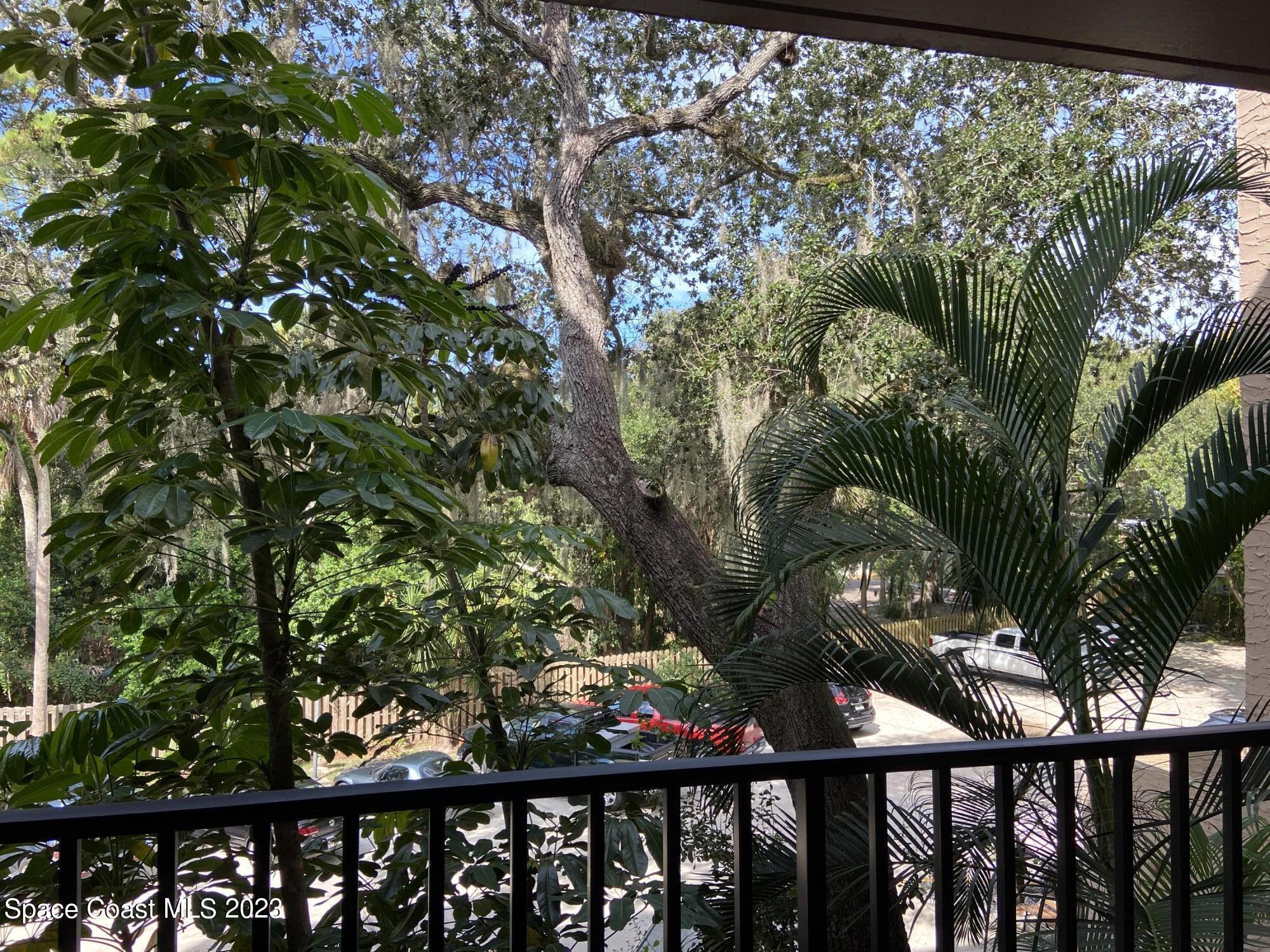 1540 Riverside Drive, Unit 8 Titusville, FL 32780 - Photo 13 of 22 Casa 302 10.5 (14)
