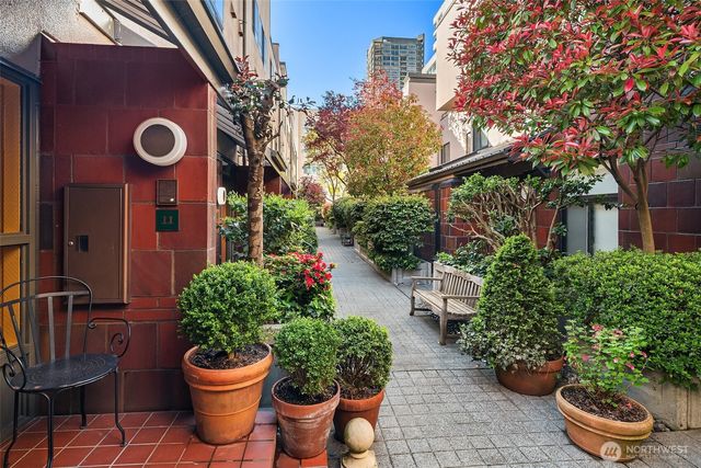 a view of a backyard with potted plants and a fountain