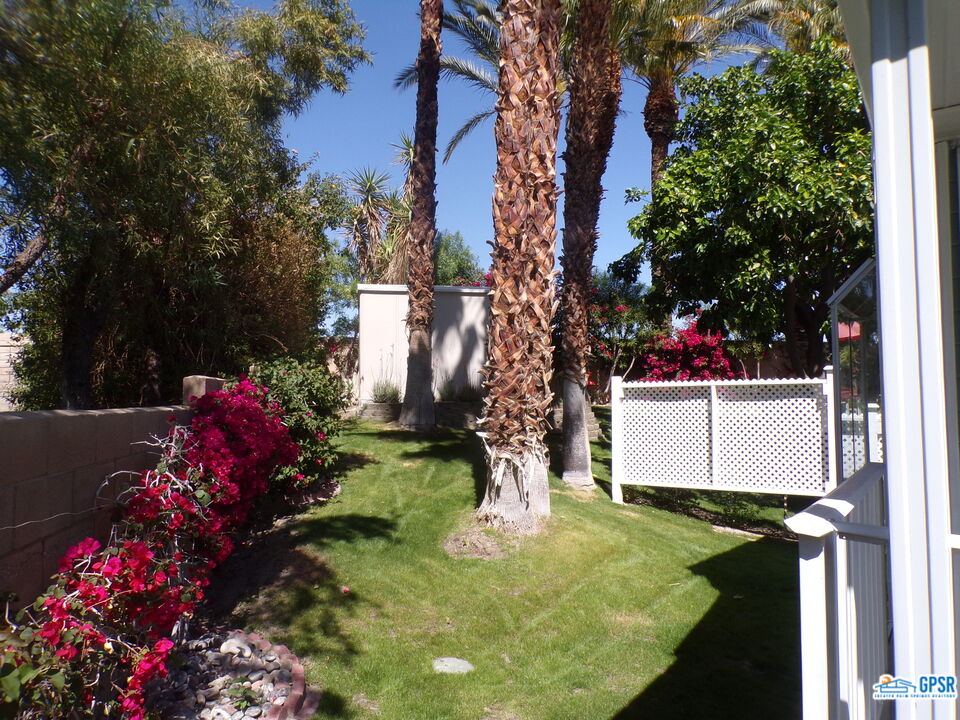 69801 Ramon Road, Unit 246 Cathedral City, CA 92234 - Photo 31 of 44 a view of a backyard house with large trees