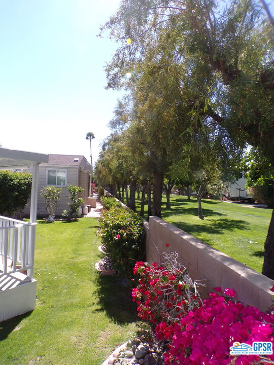 69801 Ramon Road, Unit 246 Cathedral City, CA 92234 - Photo 33 of 44 a view of a garden with flowers