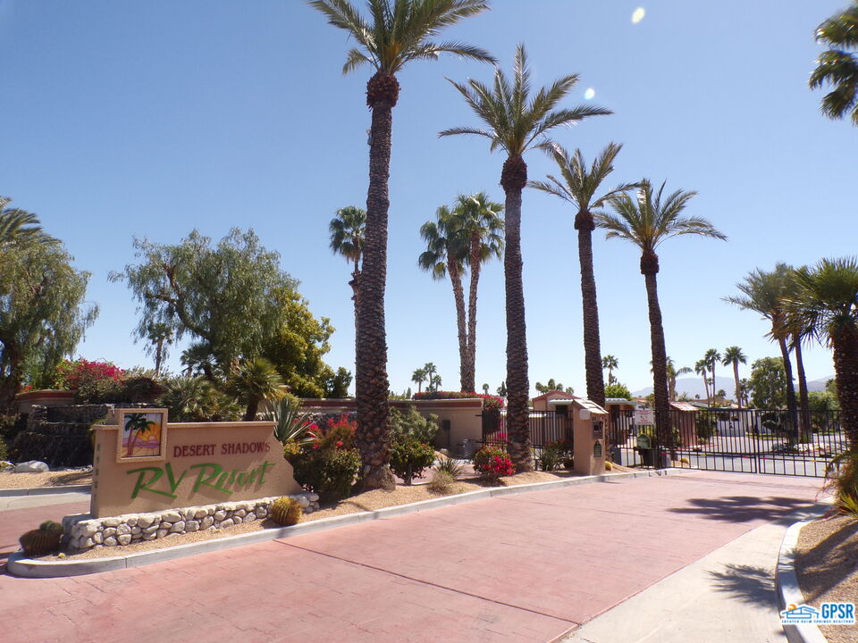 69801 Ramon Road, Unit 246 Cathedral City, CA 92234 - Photo 35 of 44 a row of palm trees and swimming pool in the backyard of a house