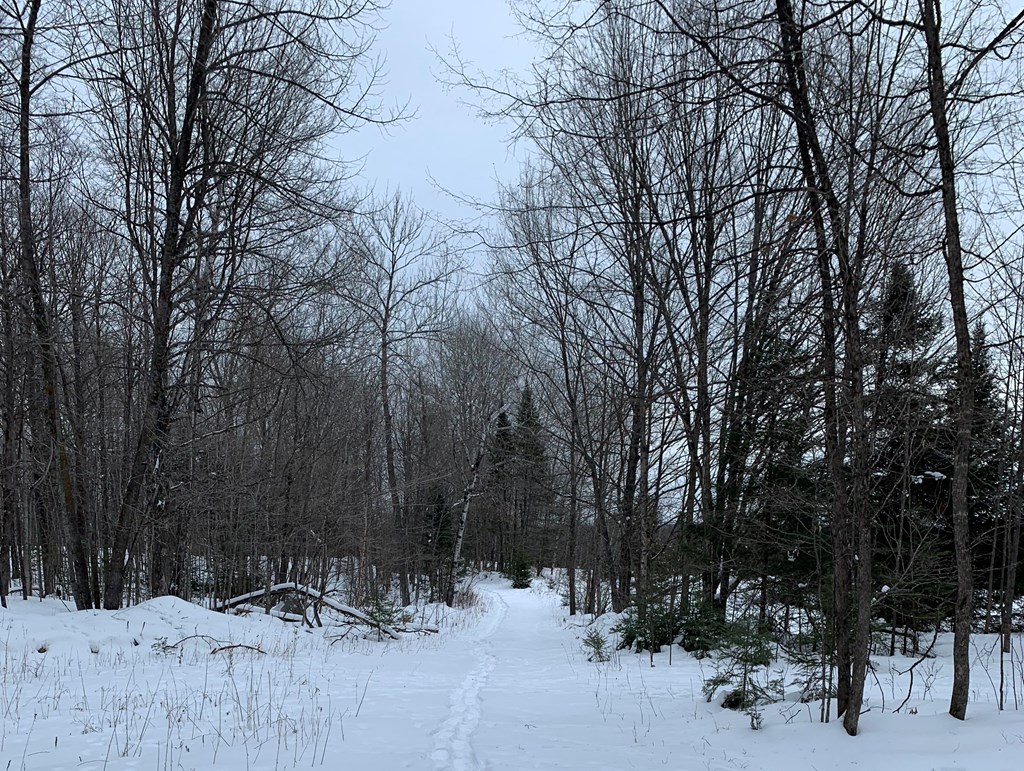 0 Other Butternut, WI 54514 - Photo 6 of 21
