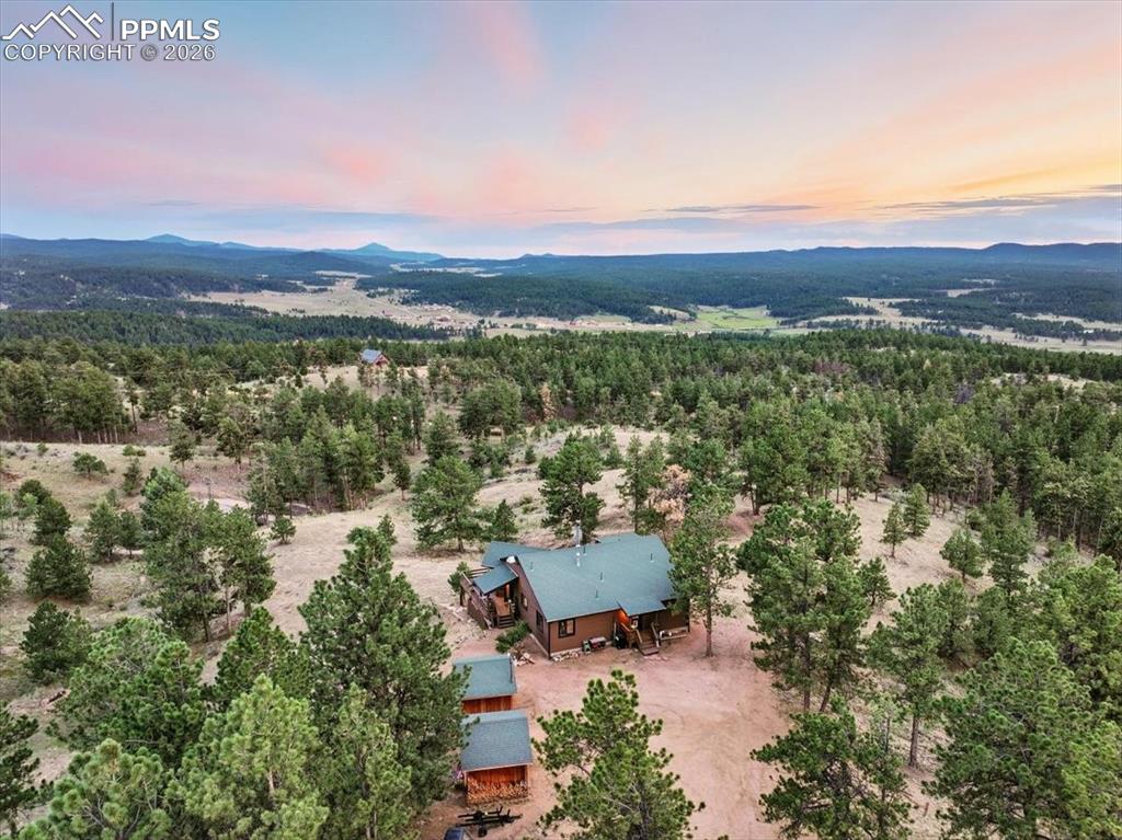 1721 Wildhorn Road Florissant, CO 80816 - Photo 3 of 48