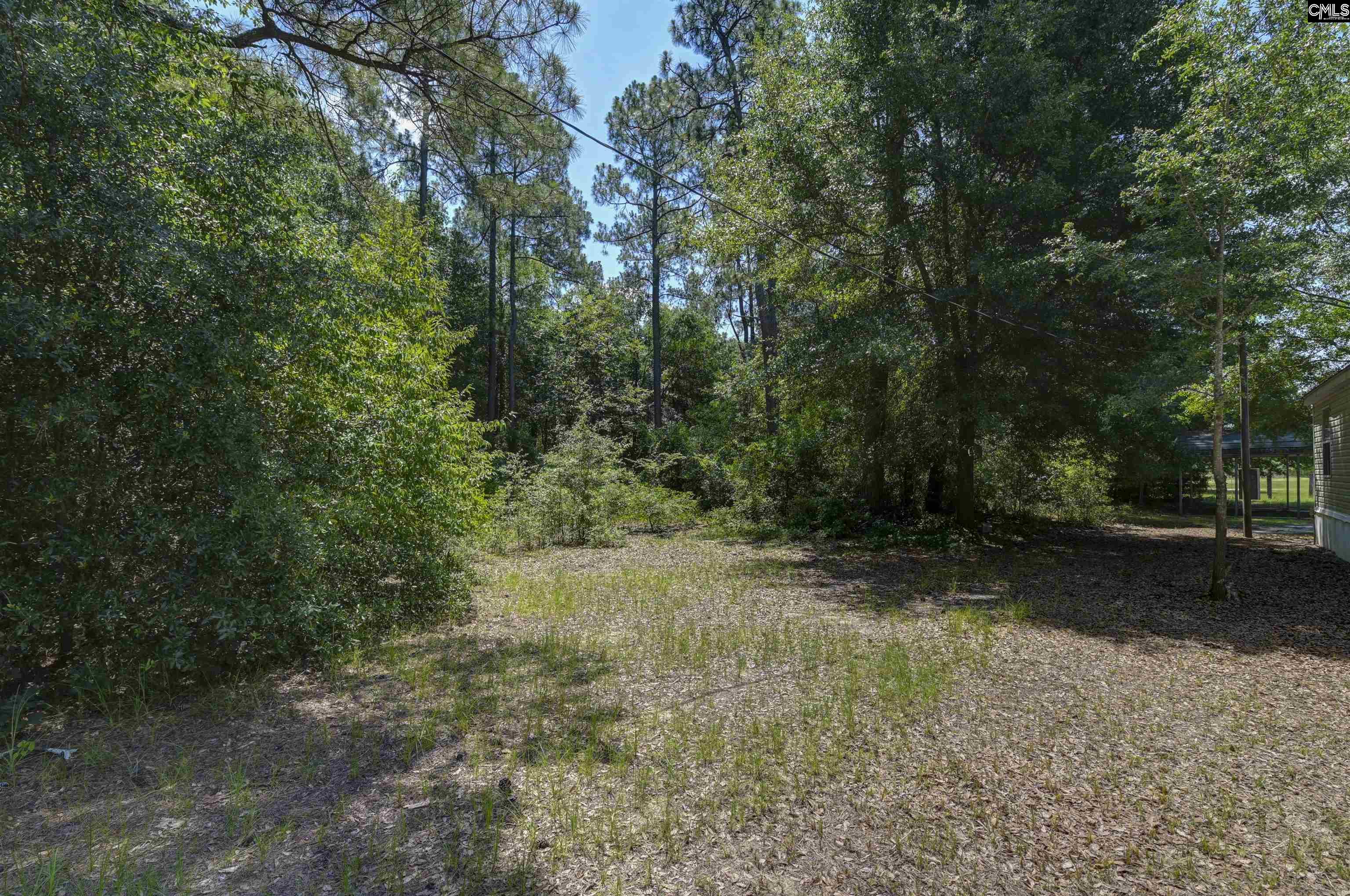 416 Otis Road Pelion, SC 29123 - Photo 44 of 48