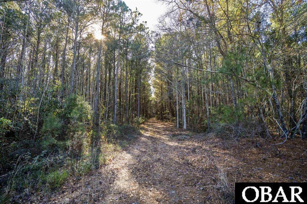 0 Irie Lane Poplar Branch, NC 27965 - Photo 2 of 7