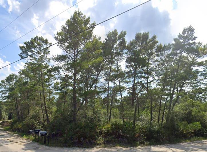 208 Woodill Road Carrabelle, FL 32322 - Photo 2 of 18 Gallery Image 2