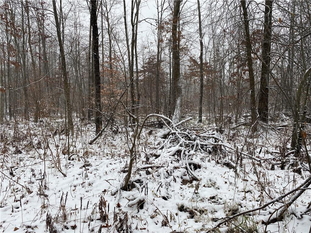 0 Swamp Road Sandy Lake, PA 16145 - Photo 1 of 25 a view of a forest covered with snow