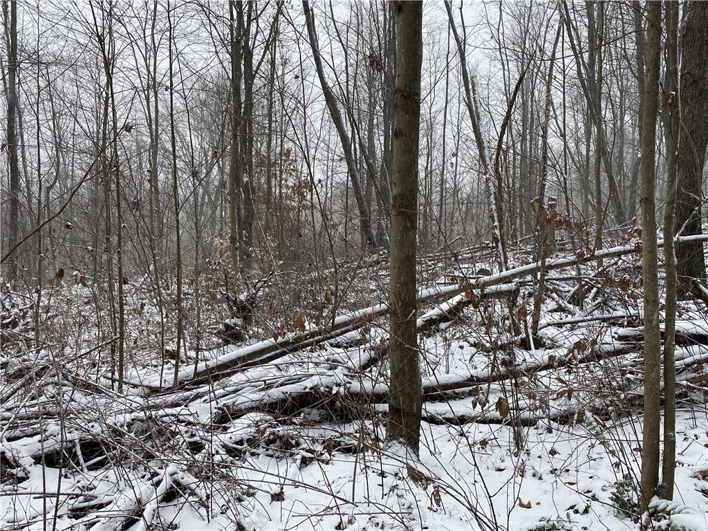 0 Swamp Road Sandy Lake, PA 16145 - Photo 11 of 25 a view of a forest with a tree