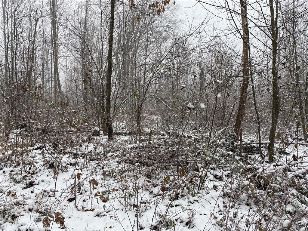 0 Swamp Road Sandy Lake, PA 16145 - Photo 12 of 25 a view of a forest