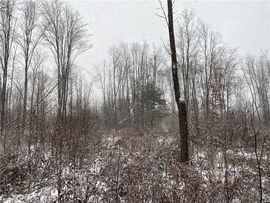 0 Swamp Road Sandy Lake, PA 16145 - Photo 15 of 25 a view of a forest