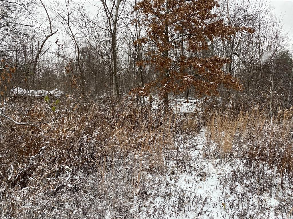 0 Swamp Road Sandy Lake, PA 16145 - Photo 20 of 25 a view of a yard with a tree