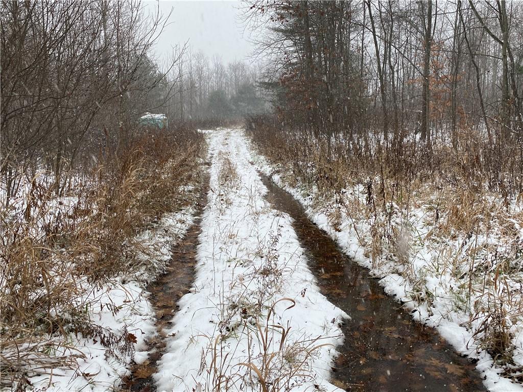0 Swamp Road Sandy Lake, PA 16145 - Photo 3 of 25