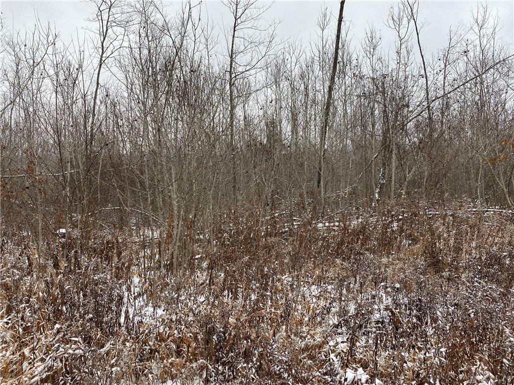 0 Swamp Road Sandy Lake, PA 16145 - Photo 22 of 25 a view of forest