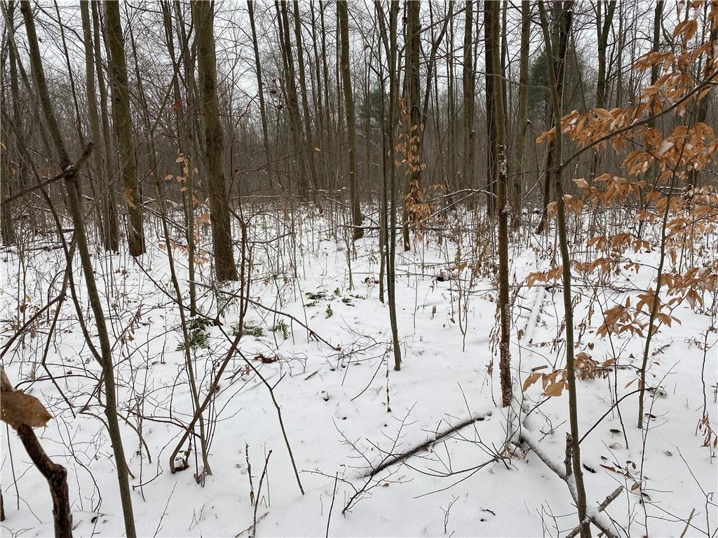 0 Swamp Road Sandy Lake, PA 16145 - Photo 25 of 25