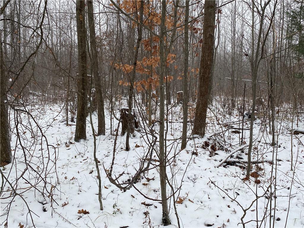 0 Swamp Road Sandy Lake, PA 16145 - Photo 5 of 25 a view of outdoor space with lots of trees
