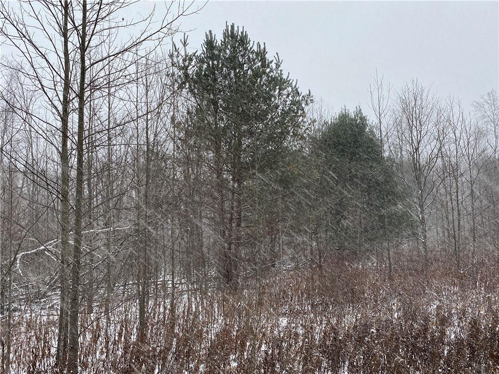 0 Swamp Road Sandy Lake, PA 16145 - Photo 8 of 25 a view of forest