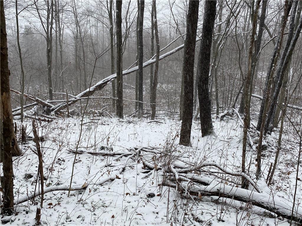 0 Swamp Road Sandy Lake, PA 16145 - Photo 9 of 25 a view of wooden fence