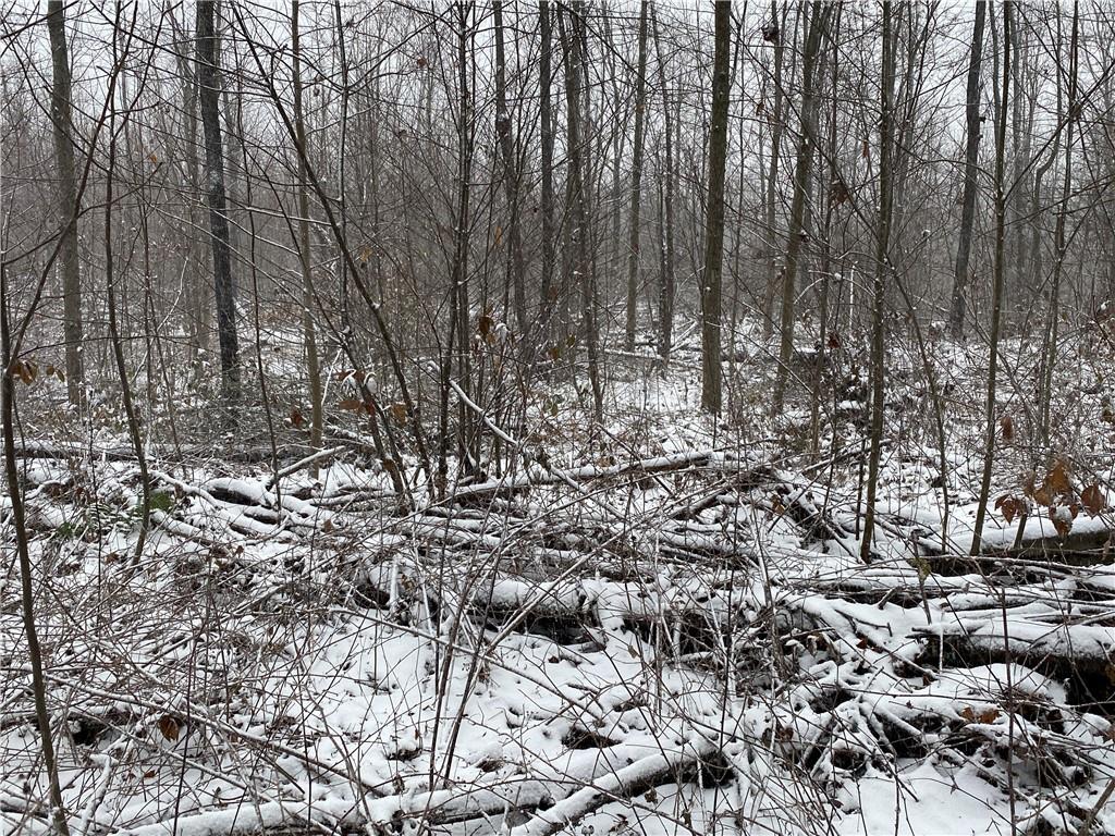 0 Swamp Road Sandy Lake, PA 16145 - Photo 10 of 25 a view of lots of trees