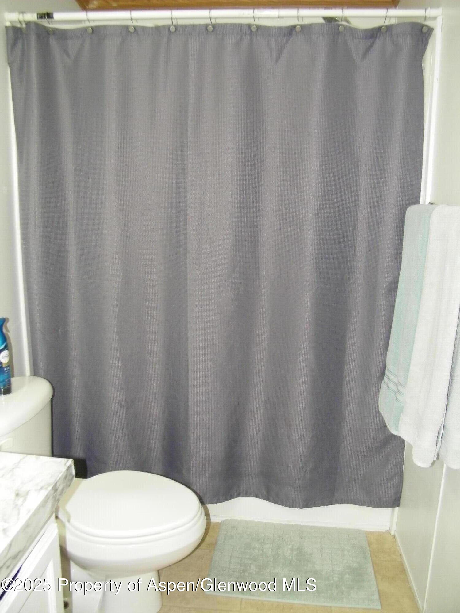 531 Park Avenue Rifle, CO 81650 - Photo 19 of 27 a bathroom with a sink and a toilet
