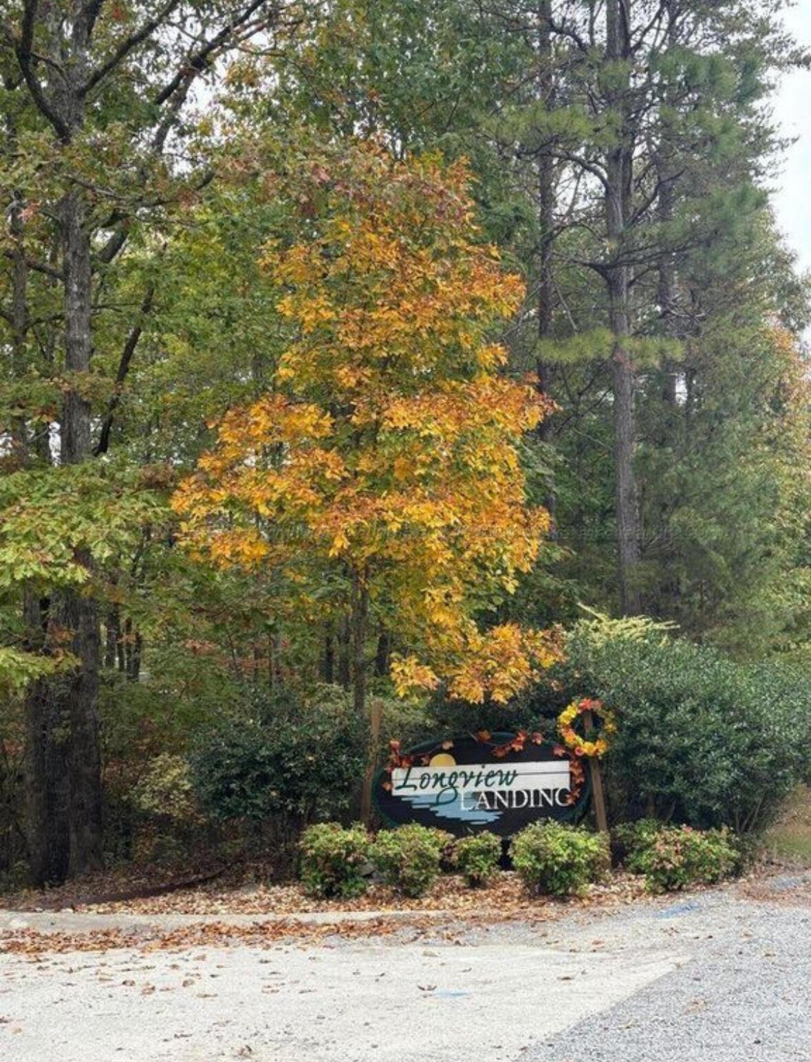 7 Longview Landing Arley, AL 35541 - Photo 2 of 3 IMG_8639