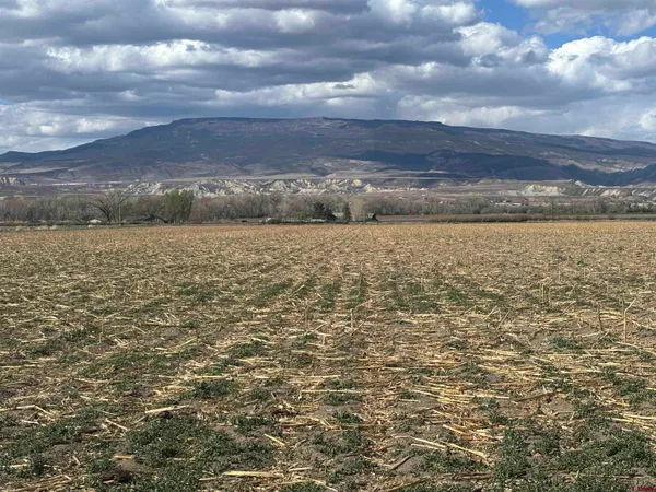 $385,000 | Tbd Sawmill Mesa Road, Delta, CO 81416