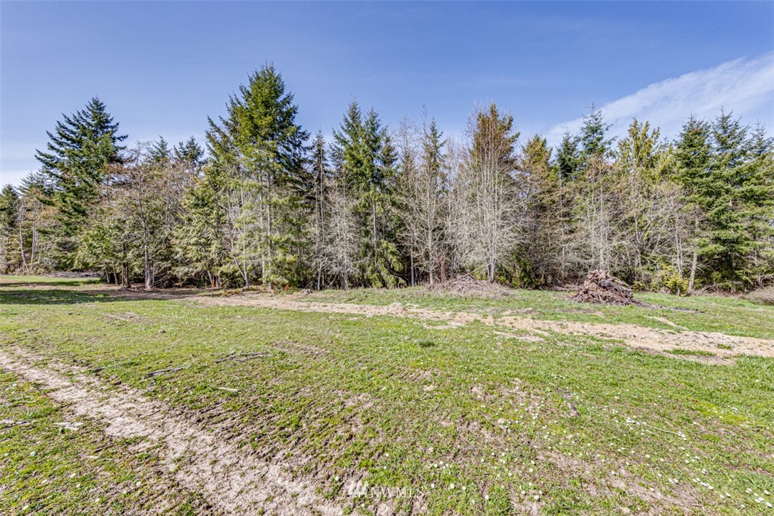 2 O'brien Rd Port Port Angeles, WA 98362 - Photo 11 of 17 a view of a field with trees