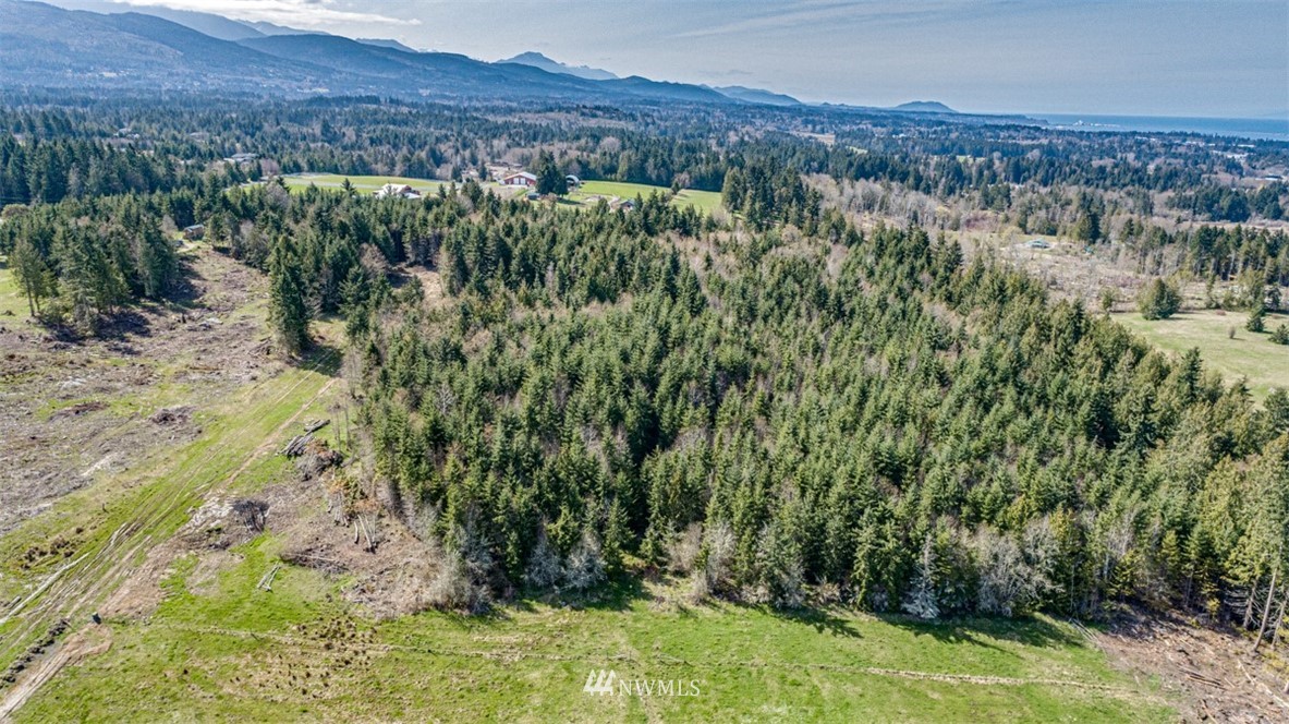 2 O'brien Rd Port Port Angeles, WA 98362 - Photo 14 of 17 a view of a lush green field