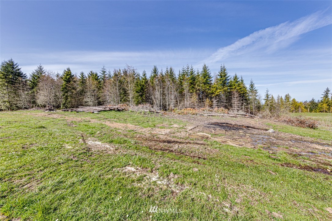 2 O'brien Rd Port Port Angeles, WA 98362 - Photo 10 of 17 a view of a field with trees in background