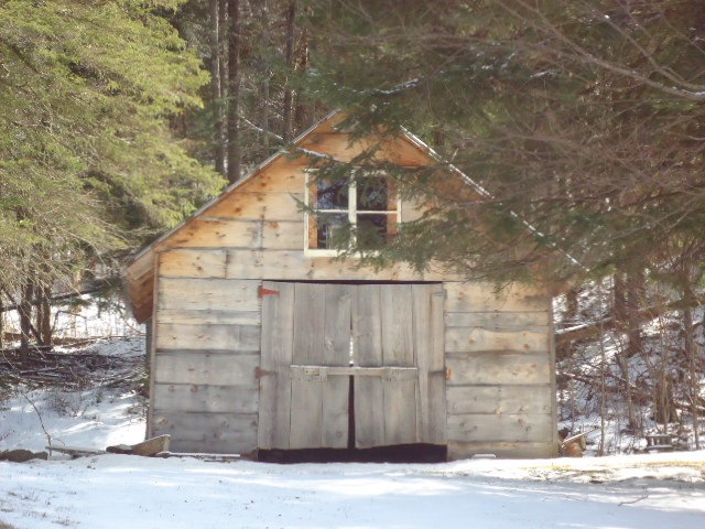 Gallery Image 1