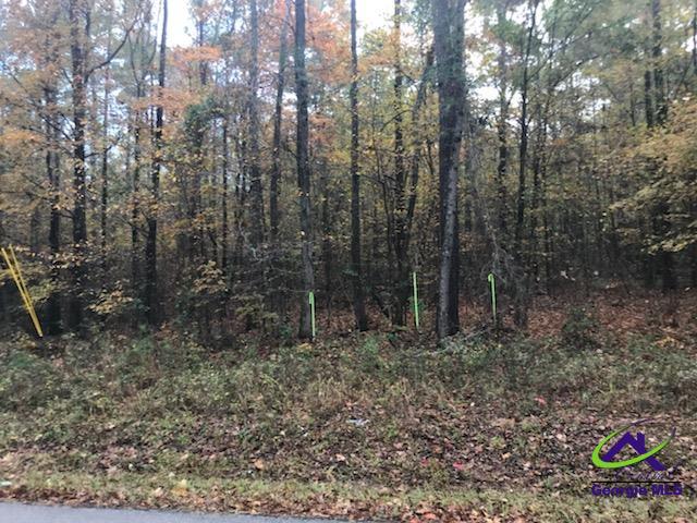 Tract-8 Lower Simmons Road Macon, GA 31220 - Photo 11 of 13